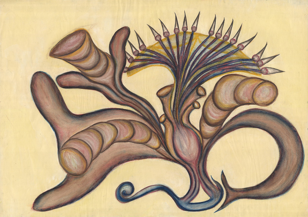 Anna Zemánková - © christian berst — art brut