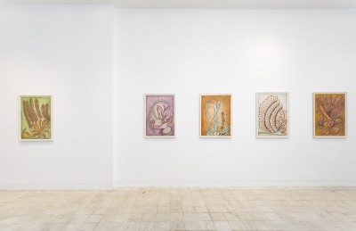 vue de l'exposition Anna Zemankova, gladstone gallery, New York, 2025 - © christian berst — art brut