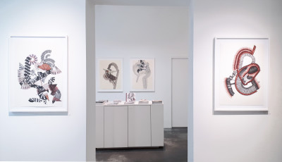 exhibition view of *lindsay caldicott : x ray memories*, christian berst art brut, paris, 2018. - © christian berst art brut, christian berst — art brut