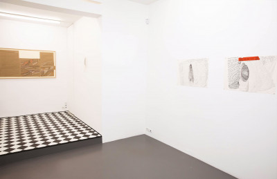 Pascal Vonlanthen - © christian berst — art brut