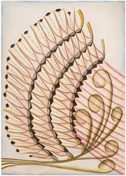 solo show Anna Zemánková - © christian berst — art brut